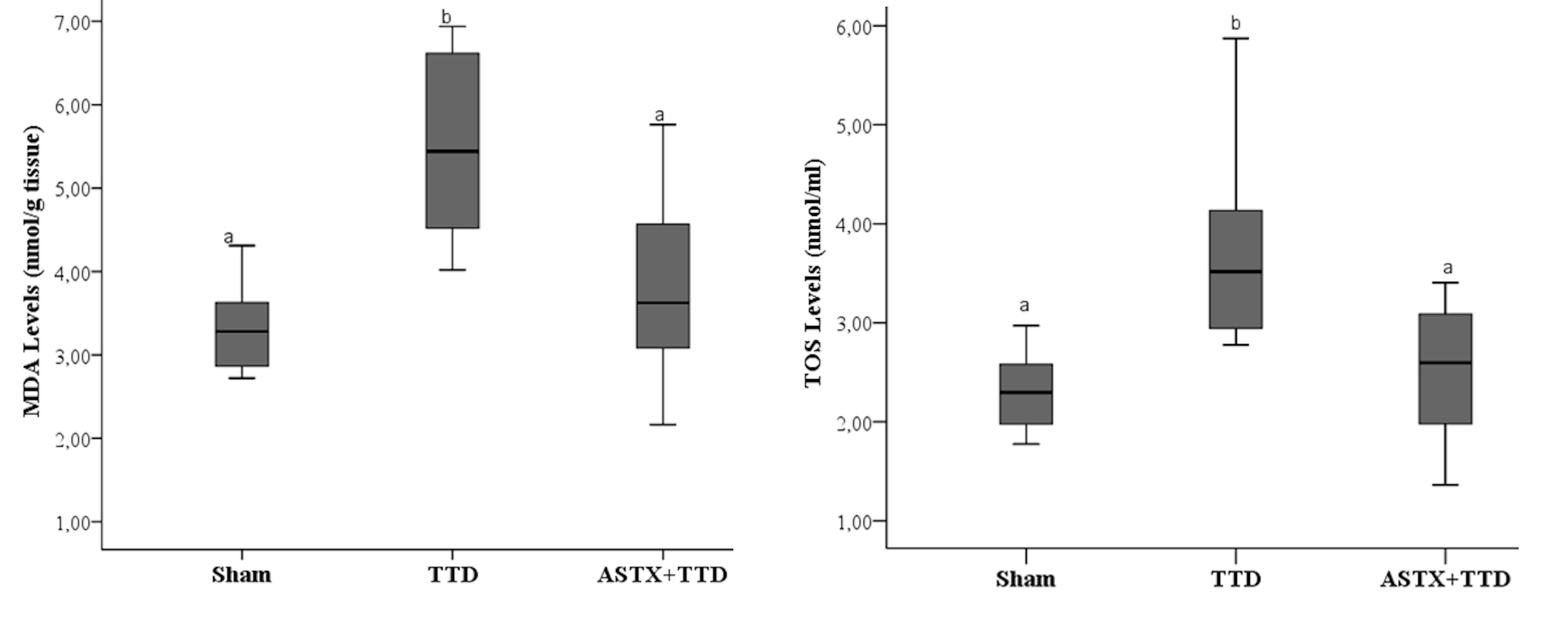 Comparison of MDA and TOS levels between groups. The
comparison of the variables between groups performed by the one-way ANOVA.
Tamhane’s test was used for all parameters in multiple comparisons. Data were
given as mean ± SD. Differences between groups were indicated by letters.
p < 0.05 values considered statistically significant. aStatistically lower than TTD group (p < 0.05), bStatistically
higher than sham group (p < 0.05). TTD: testicular torsion/detorsion;
ASTX + TTD: astaxanthin + testicular torsion/detorsion; MDA: malondialdehyde;
TOS: total oxidant status.