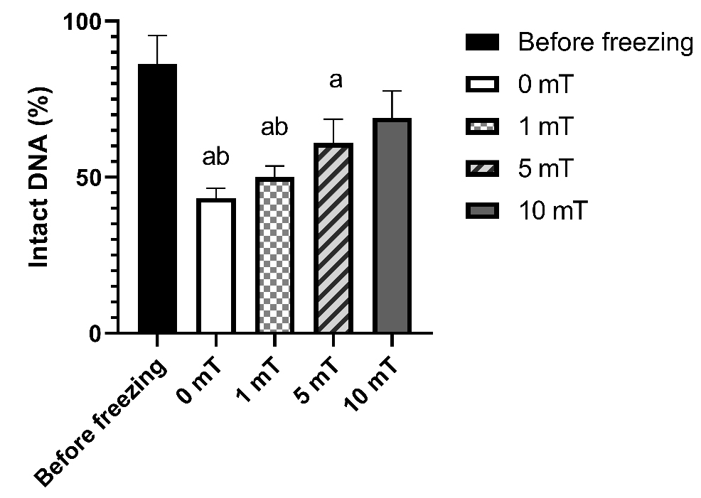 Comparison of sperm DNA fragmentation between different groups. a: significant compared to before freezing, b: significant compared to 10 mT.
Analysis was performed by One-way ANOVA with Tukey.