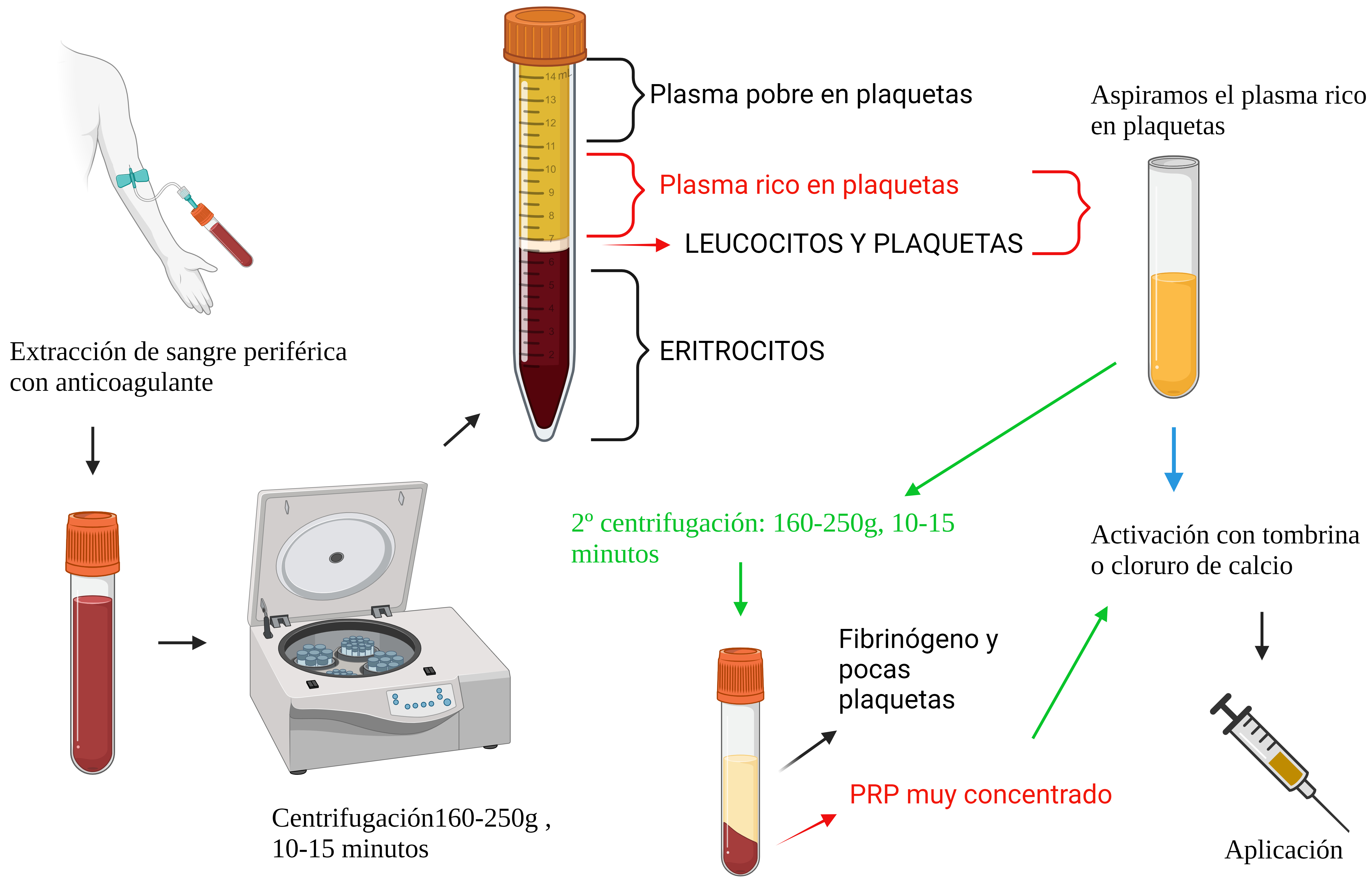 Esquema de obtención de PRP realizando una o dos 
centrifugaciones. La imagen muestra dos procesos posibles en la preparación 
del PRP comenzando con la extracción sanguínea y finalizando con su 
aplicación. La primera fase es común, consiste en una extracción 
sanguínea y centrifugación de la muestra, separando la sangre en tres 
niveles: el inferior contiene RBCs y leucocitos justo encima; el intermedio 
contiene el PRP y el superior está compuesto por PPP. El nivel inferior es 
eliminado y los dos superiores son conservados puesto que contienen el plasma y 
leucocitos. Realizando una segunda centrifugación del nivel medio se consigue 
en el sobrenadante PP y el pellet con las plaquetas y algunas células rojas. 
Este pellet es resuspendido y se obtiene el PRP [5]. Adicionalmente, se puede 
utilizar un agonista para la activación plaquetaria. Elaboración propia 
creada con BioRender.com. PRP: Plasma Rico en Plaquetas.