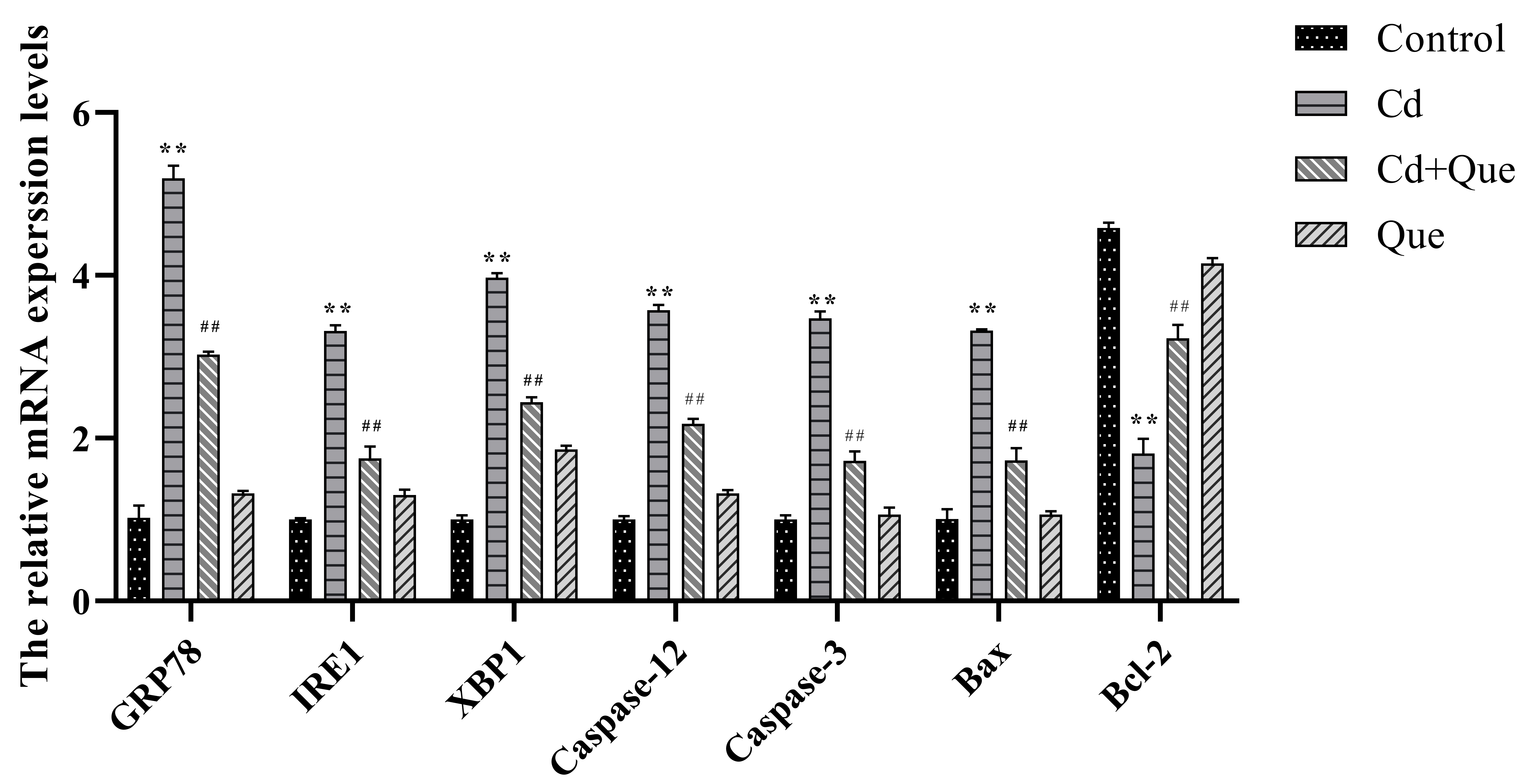 The mRNA expression of GRP78, IRE1α,
XBP1, Caspase-12, Caspase-3, Bax and
Bcl-2 in the experimental group. Experimental groups included the
control group, Cd group, Cd + Que group, Que group. All measurement results were
expressed as mean ± SD (n = 6). **indicates significant difference
compared with the corresponding control p < 0.01. ##indicates statistically significant difference between the Cd and
Cd + Que groups p < 0.01. GPR78: glucose-regulated protein
78; IRE1: inositol-requiring kinase 1; XBP1: X box-binding
protein 1; Cd: cadmium; Que: quercetin.