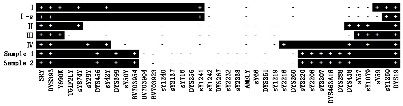 The deletion map comparison with the classification described by 
Jobling et al. [23]. SRY: sex-determining region Y; AMELY: 
amelogenin Y-linked.