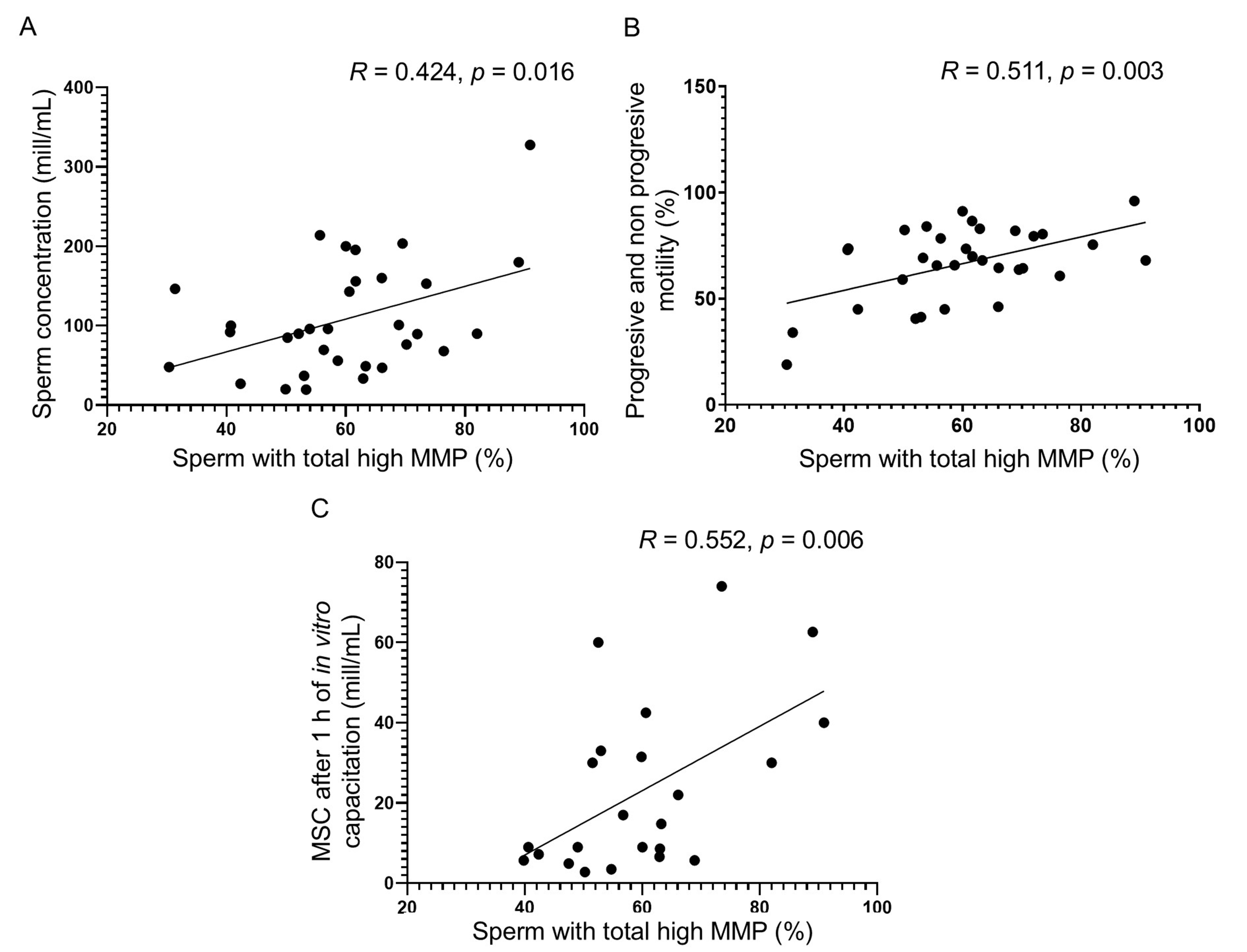 Dispersion graphics. (A) Dispersion graphic showing the
significant relationship between the percentage of sperm with total high MMP
(independent variable, x-axis) and the sperm concentration (dependent variable,
y-axis). (B) Dispersion graphic showing the relationship between the percentage
of sperm with total high MMP (independent variable, x-axis) and the percentage of
motile sperm (dependent variable, y-axis). (C) Dispersion graphic showing the
relationship between the percentage of sperm with total high MMP (independent
variable, x-axis) and the concentration of motile sperm recovered after 1h of
in vitro capacitation. MMP: Mitochondrial membrane potential; MSC:
Motile sperm concentration.