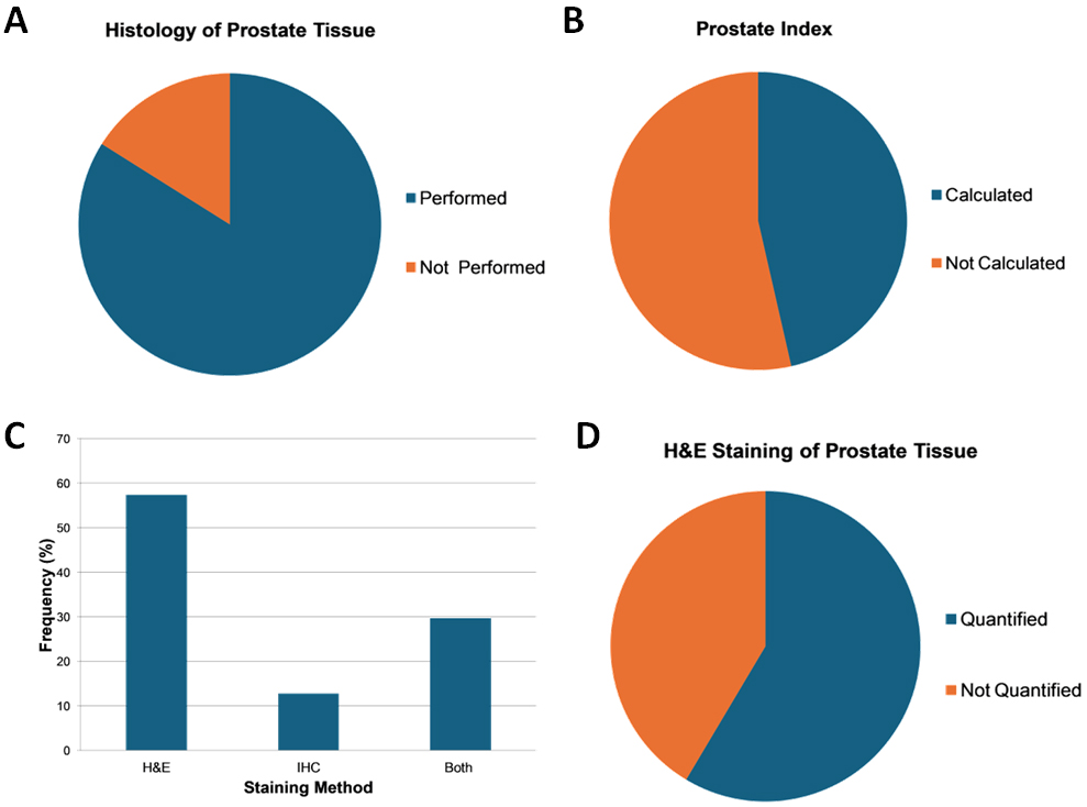 Morphological validation of chemically-induced CP/CPPS models.
Morphological validation of the established model included histological
evaluation (A) and/or calculation of prostate index (B) as a ratio of prostate
weigh and total weigh of the animal. Histological evaluation included hematoxylin
and eosin (H&E staining), immunohistochemistry (IHC) or both (C). H&E staining
of prostate tissue in some cases were quantified (D).