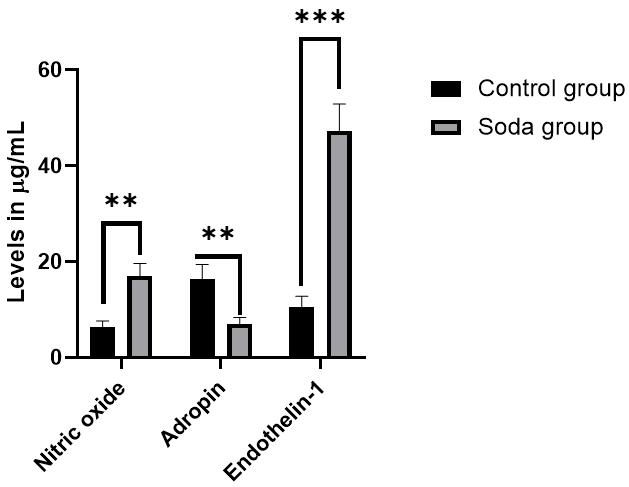Nitric oxide, adropin, and endothelin-1 levels in the two.
**p < 0.01; ***p < 0.001.