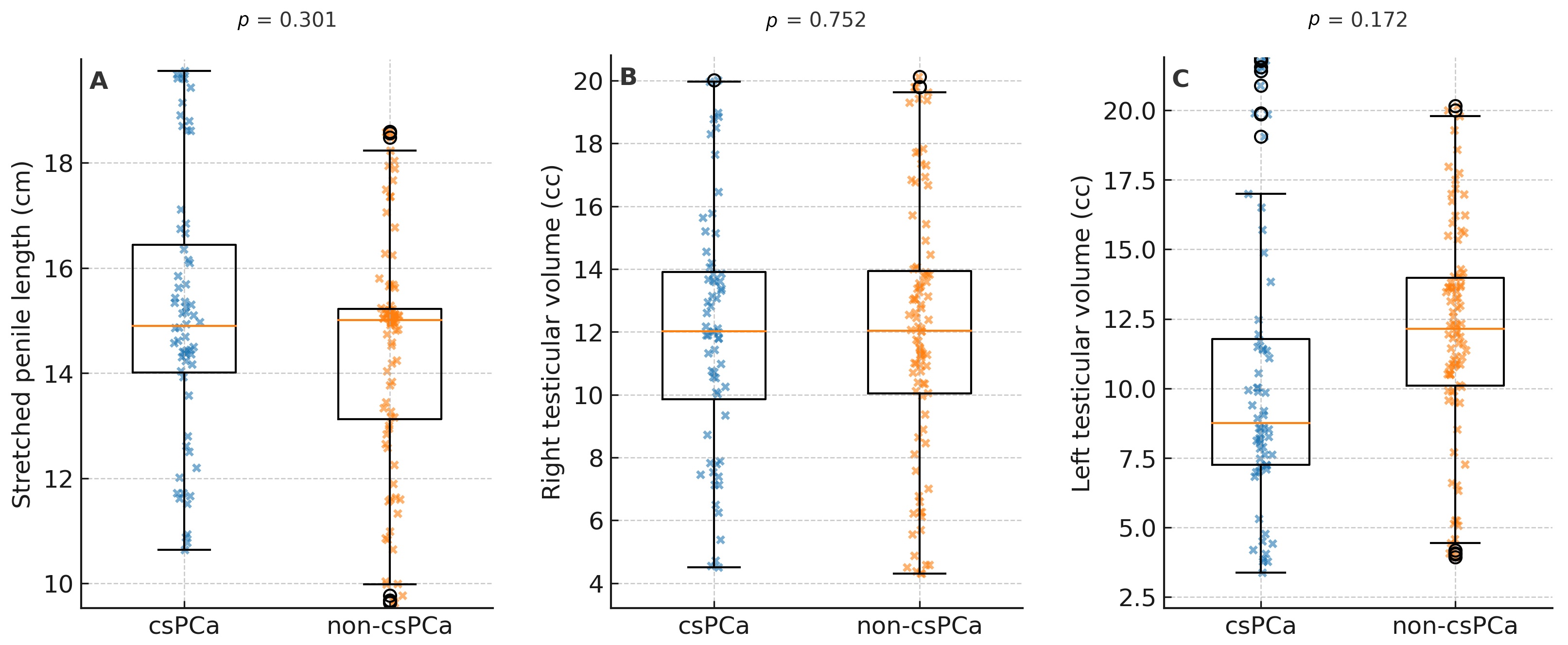 Primary outcome—SPL and bilateral testicular volumes in men
with and without csPCa. Box-and-whisker plots illustrating SPL (A) and right (B)
and left (C) testicular volumes in Caucasian men with and without csPCa on
prostate biopsy. Boxes represent the IQR, horizontal lines within boxes indicate
the median, and whiskers extend to 1.5× IQR. Individual patient values
are overlaid as jittered points. p-values were calculated using
the Mann-Whitney U test. cs: clinically significant; PCa: Prostate Cancer.