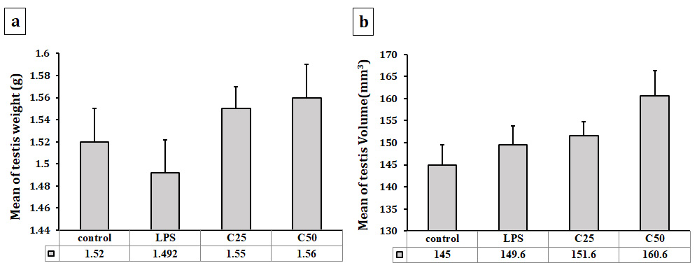 Comparison of testicular weight and volume among
experimental groups. (a) Average testicular weight and (b) volume measured in
Control, LPS, C25, and C50 groups. C: Carvacrol; LPS: Lipopolysaccharide; C25:
LPS + Carvacrol 25 mg/kg; C50: LPS + Carvacrol 50 mg/kg. Data are expressed as
mean ± SE (n = 8 per group).