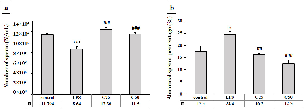Comparison of sperm count and abnormal sperm percentage across
experimental groups. (a) Mean sperm count and (b) percentage of abnormal sperm
in Control, LPS, C25, and C50 groups. C: Carvacrol; LPS: Lipopolysaccharide; C25:
LPS + Carvacrol 25 mg/kg; C50: LPS + Carvacrol 50 mg/kg. * Compared with Control
group, # compared with LPS group. *p < 0.05, ***p < 0.001,
##p < 0.01, ###p < 0.001.
Data are presented as mean ± SE (n = 8 per group).