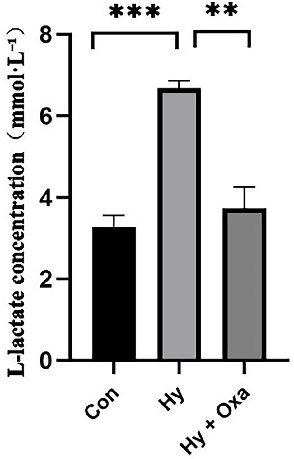Lactate levels in GC-1 cells under different conditions. Data
are presented as mean ± SD (n = 3).
The Hy group exhibited significantly higher
lactate levels compared with the Con group. Addition of the lactate dehydrogenase
inhibitor sodium oxamate (Hy + Oxa group) during hypoxic culture reduced lactate
levels relative to Hy. Con, normoxia group; Hy, hypoxia group; Hy + Oxa, hypoxia
+ sodium oxamate. **p < 0.01, ***p < 0.001.