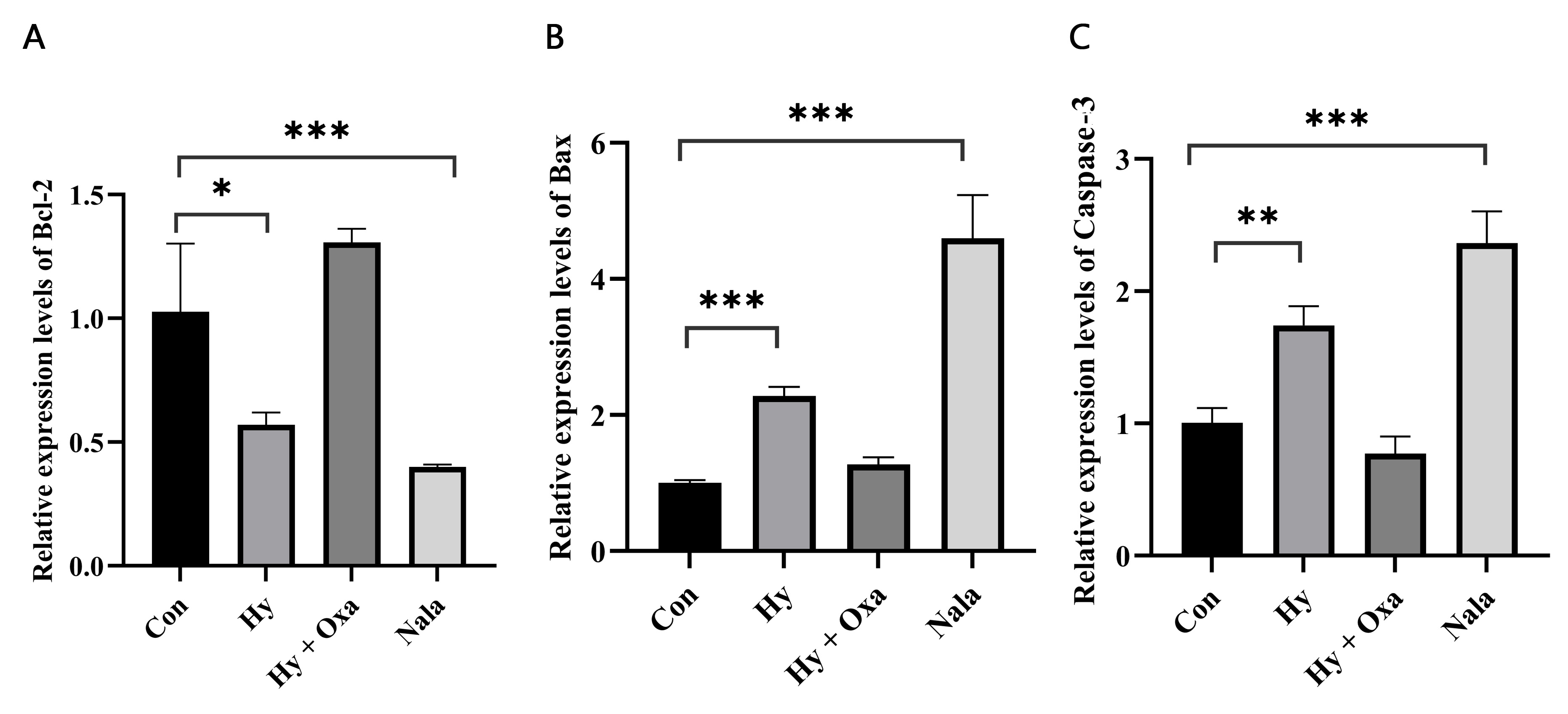 qRT-PCR analysis of apoptosis-related gene expression in GC-1
cells. Data are presented as mean ± SD (n = 3). (A) Bax, (B) Bcl-2, and
(C) Caspase-3 relative expression levels. Expression levels of Bcl-2, Bax, and
Caspase-3 were quantified by qRT-PCR. In the Hy group, Bcl-2 expression was
significantly decreased (*p < 0.05), while Bax and Caspase-3 were
significantly increased (***p < 0.001 and **p < 0.01,
respectively) compared with Con. Treatment with sodium oxamate (Hy + Oxa)
significantly reversed all three changes relative to Hy (***p <
0.001). *p < 0.05; **p < 0.01; ***p < 0.001.
Con, normoxia group; Hy, hypoxia group; Hy + Oxa, hypoxia + sodium oxamate; Nala,
L-lactate treatment; Bax, Bcl-2-associated X protein; Bcl-2,
B-cell lymphoma 2; Caspase-3, cysteine-dependent aspartate-specific
protease 3.
