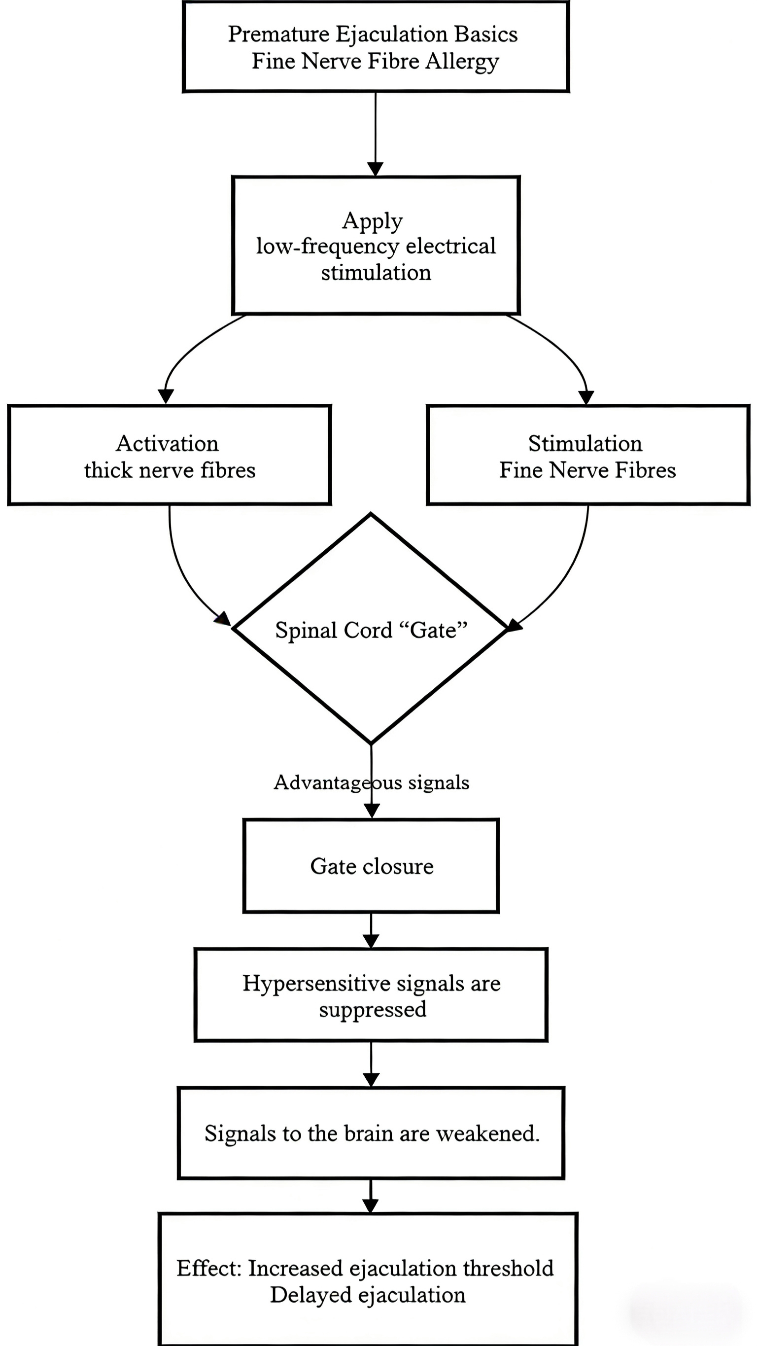 One of the principles of
low-frequency electrical stimulation for PE, the theory of pain gating.
