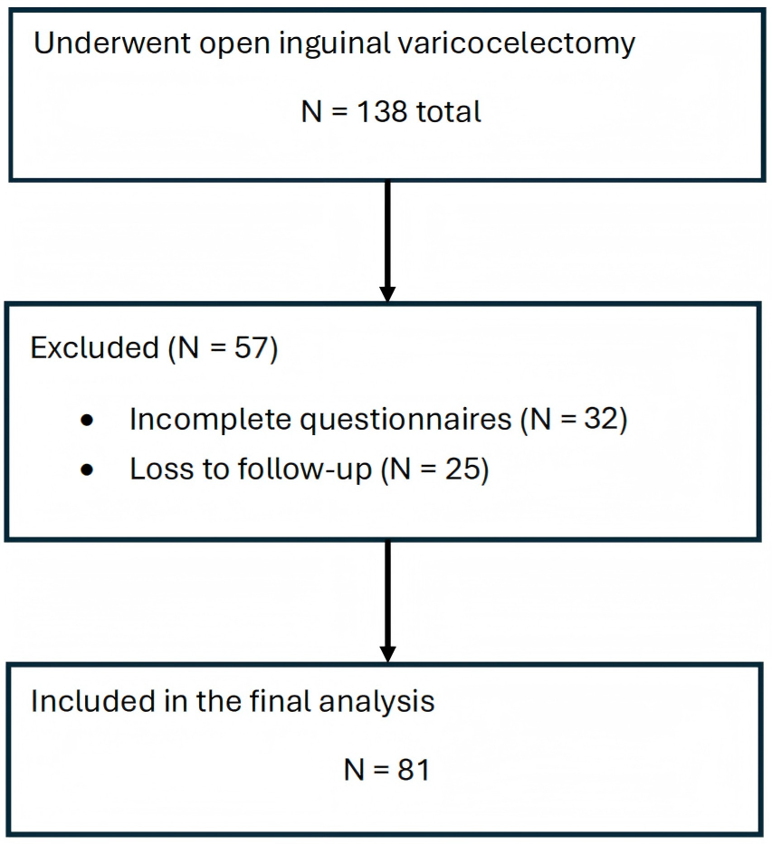 Flowchart of patient selection and study inclusion process.