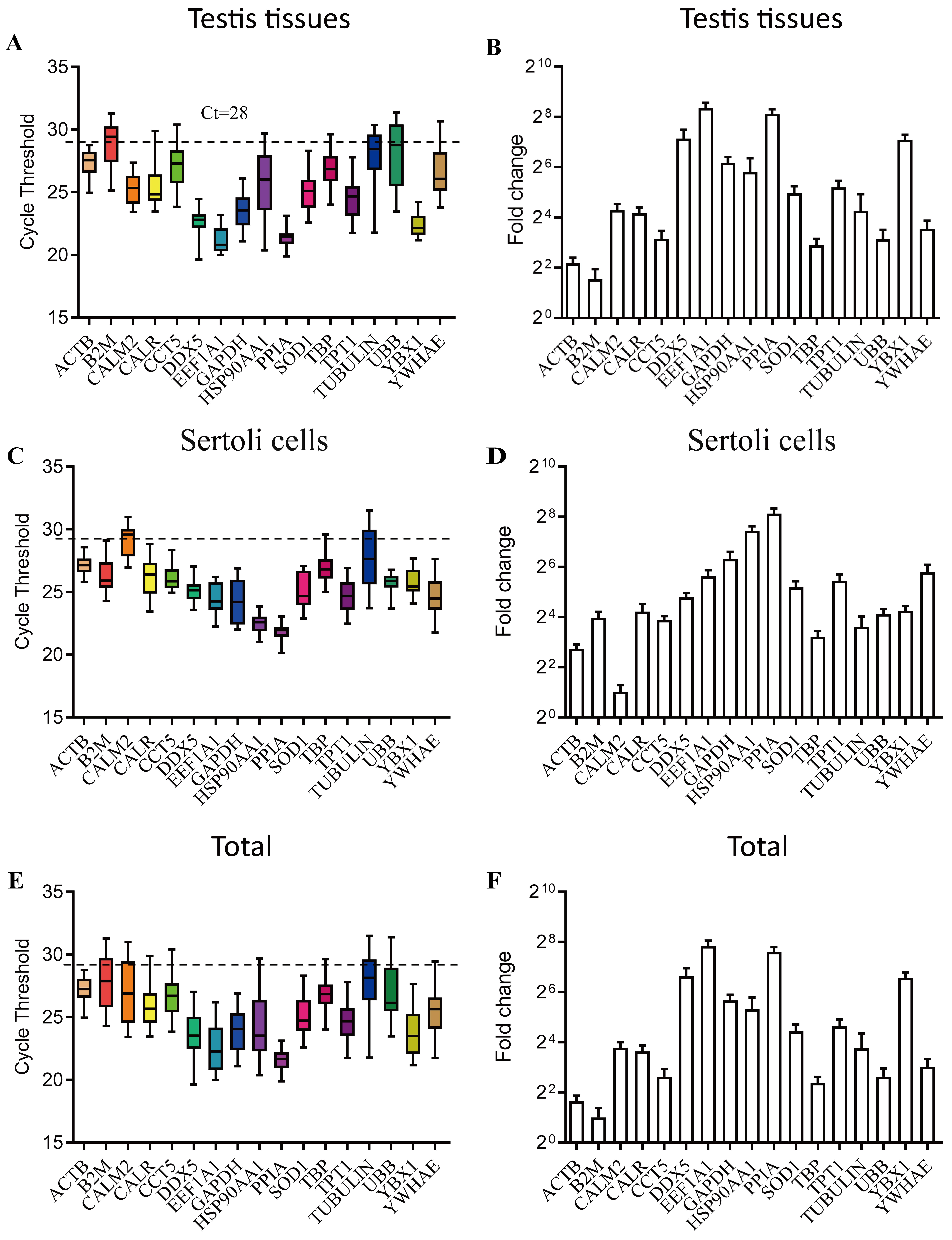 Analysis of Ct values and relative expression
levels of 17 candidate HKGs in testicular tissues and Sertoli cells by qRT-PCR.
(A,C,E) Ct values for candidate HKGs from testicular tissues, Sertoli cells, and
combined samples in the control (Ctrl), Mn2+ exposure, and Mn2+ + CcE
treatment groups (N = 4–6 samples per group). The dotted line denotes a Ct
threshold value of 28, used as the selection criterion for further analysis based
on high gene abundance. (B,D,F) Relative gene expression levels of HKGs
normalized to the geometric mean of all candidate HKGs within each sample. Data
are presented as means ± SEM. ACTB: Actin Beta;
B2M: Beta-2-Microglobulin; CALM2: Calmodulin
2; CALR: Calreticulin; CCT5: Chaperonin
Containing TCP1 Subunit 5; DDX5: DEAD-Box Helicase 5;
EEF1A1: Eukaryotic Translation Elongation Factor 1 Alpha 1;
GAPDH: Glyceraldehyde-3-Phosphate Dehydrogenase;
HSP90AA1: Heat Shock Protein 90 Alpha Family Class A Member 1;
PPIA: Peptidylprolyl Isomerase A; SOD1: Superoxide dismutase 1; TBP: TATA-Box Binding Protein;
TPT1: Tumor Protein Translationally Controlled 1;
TUBULIN: Tubulin; UBB: Ubiquitin B;
YBX1: Y-box binding protein 1; YWHAE: Tyrosine
3-Monooxygenase/Tryptophan 5-Monooxygenase Activation Protein Zeta.